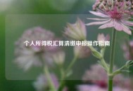 个人所得税汇算清缴申报操作指南