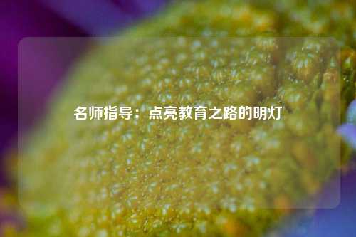 名师指导：点亮教育之路的明灯