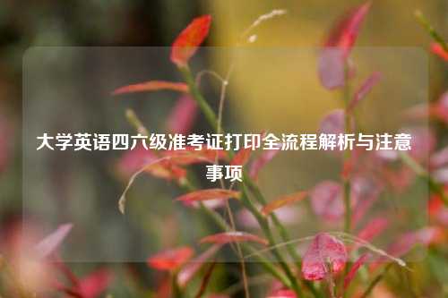 大学英语四六级准考证打印全流程解析与注意事项