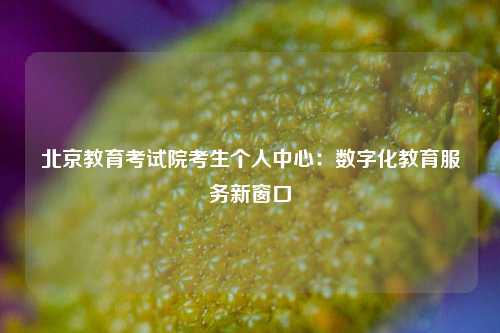 北京教育考试院考生个人中心:数字化教育服务新窗口